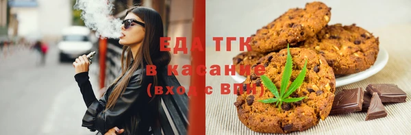 индика Верхний Тагил