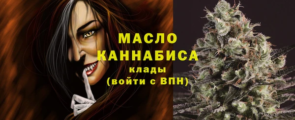 соль ск Бронницы
