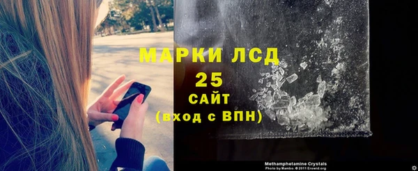 индика Верхний Тагил