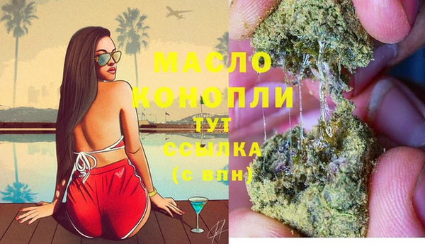 индика Верхний Тагил