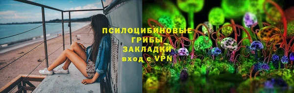 индика Верхний Тагил