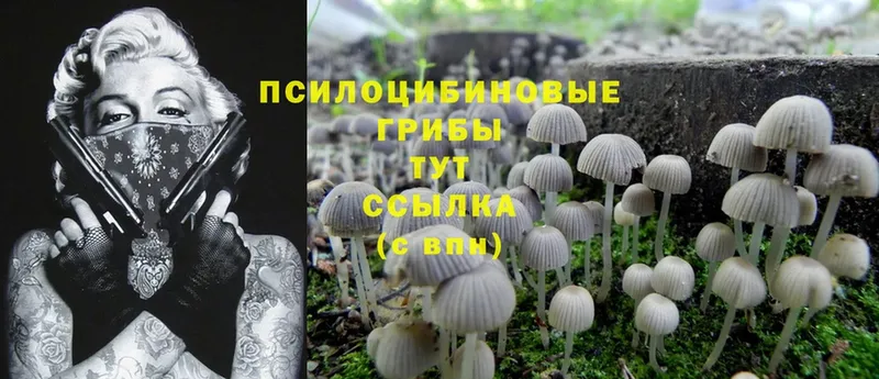 кракен ONION  Вилюйск  Псилоцибиновые грибы Psilocybine cubensis  наркотики 